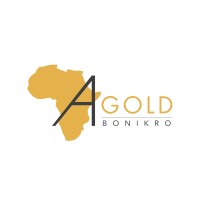 Afrique Gold logo - Similar company to Brainfield Consulting