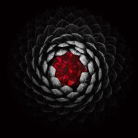 Reddiam logo - Similar company to Fonder Diamond Private Limited