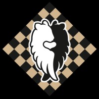 Freestyle Chess logo - Similar company to Coleap