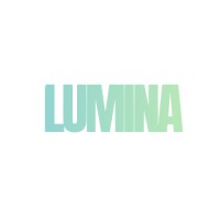Lumina Trading LTD logo - Similar company to Fyreza Ug