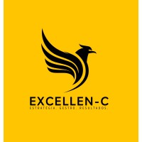 EXCELLEN-C | Consultoria Estratégica logo - Similar company to Agylity