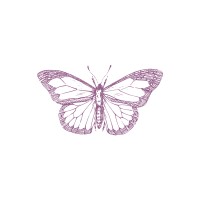 Monarca Consultoras logo - Similar company to Cisai - Centro De Innovación Social De Alto Impacto