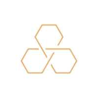 APEX PARTNERS logo - Similar company to Compero.Ch