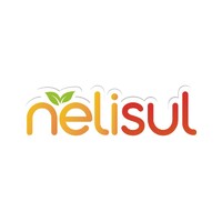 Nelisul logo - Similar company to Prollac Cor Indústria E Comércio Ltda