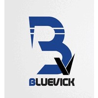 BLUEVICK logo - Similar company to Mr. Digitian Media