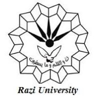 Razi University logo - Similar company to Pardazesh