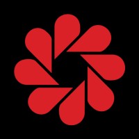 Sunshine Coast Screen Collective logo - Similar company to Kintsugi Heroes