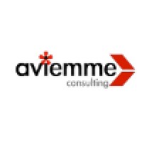 Aviemme Consulting logo - Similar company to Impervius Srls