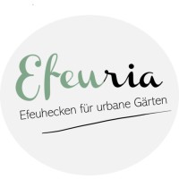Efeuria logo - Similar company to Presight4