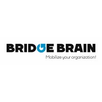 BRIDGEBRAIN logo - Similar company to Unequity