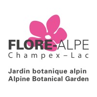 Fondation Jean-Marcel Aubert