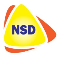 NSD SYSTEMS logo - Similar company to Emirates International Business Services