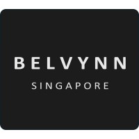 BELVYNN logo - Similar company to Bamboo Path Academy