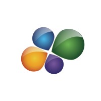 Bisnet México logo - Similar company to Bisnet