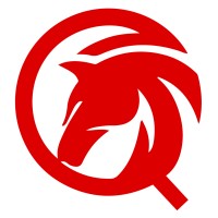 EQÚ HORSES logo - Similar company to Equisoft Dac