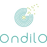 Ondilo logo - Similar company to Ico Solutions
