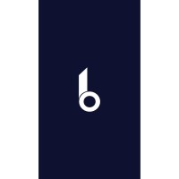 Burhani IT Solution logo - Similar company to Ta Solutions
