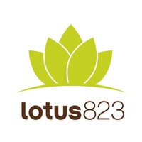 lotus823 logo - Similar company to Dblspc