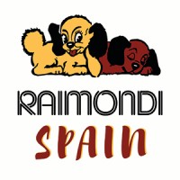 Raimondi Spain, S.L. logo - Similar company to Buildstation