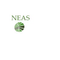 (Neas) Northern Electronic Services Inc