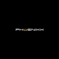 PHOENIXX GROUPE logo - Similar company to Phoenixx Tech