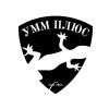 Cleaning of Graves Minsk UMM PLUS+ logo - Similar company to Dms Holding