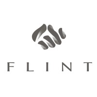 FLINT logo - Similar company to Simia Solutions