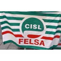 FeLSA CISL Lombardia logo - Similar company to Fmn Logistics