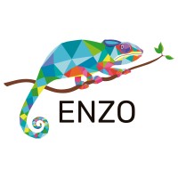 Enzo Coloring logo - Similar company to Loro