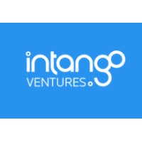 Intango Ventures logo - Similar company to Dt Advisors