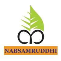 NABSAMRUDDHI Finance Limited logo - Similar company to Visanka Finance