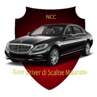 Turin Driver di M.Scalise logo - Similar company to Maison Turin