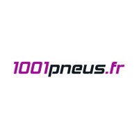 1001Pneus logo - Similar company to Allopneus.Com