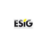 Ecole Supérieure Internationale de Gestion (ESIG) logo - Similar company to Digital Wave Center
