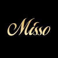TM MISSO logo - Similar company to Msun