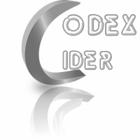 Codexcider logo - Similar company to Meera Solution