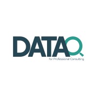Data Quality for Professional Consulting logo - Similar company to Dynamers