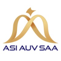 ASIAUVSAA Fze logo - Similar company to Broud Vission Information Technology