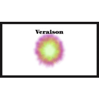 Veraison Magazine logo - Similar company to The File