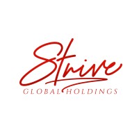 Strive Global Holdings logo - Similar company to Brighter Electrical