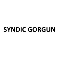 Syndic GORGUN - Bureau de gestion d'immeubles logo - Similar company to Bureau Syndic Epi