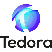 Tedora Group logo - Similar company to Pentester