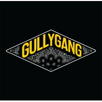 Gully Gang logo - Similar company to A