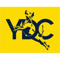 Yellow Dog Creative logo - Similar company to Revolve Cc
