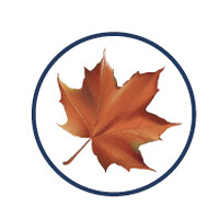 New Leaf Homes and Development logo - Similar company to Specialized Testing, Inc.
