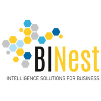 BI Nest Consulting logo - Similar company to Triggerdb  Consulting - Sql Server & Power Bi Services