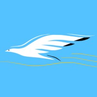 Team Albatross