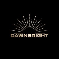 Dawnbright Games logo - Similar company to Tanfer Group