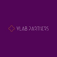 VLAB Partners logo - Similar company to Visual Intelligence, Llc