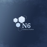 N6 Consultoria Empresarial Ltda logo - Similar company to Non-Risk Solution
